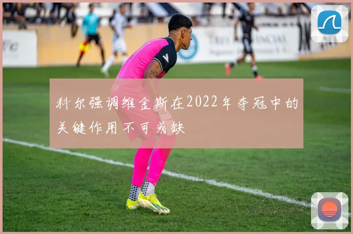 科尔强调维金斯在2022年夺冠中的关键作用不可或缺